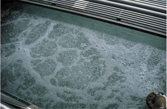 重捕劑使用效果圖